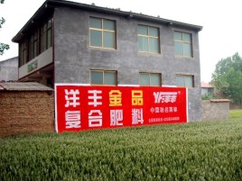  鄢陵如何让墙体广告展现最大化效果