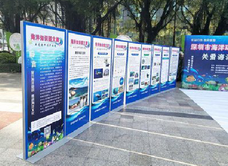  鄢陵KT板的种类和知识。